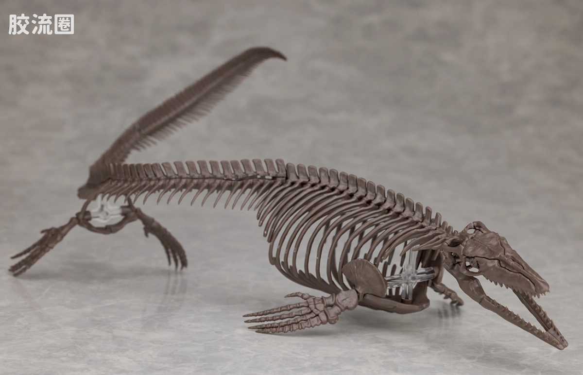 万代综合拼装模型系列 Imaginary Skeleton系列 沧龙 - 图片